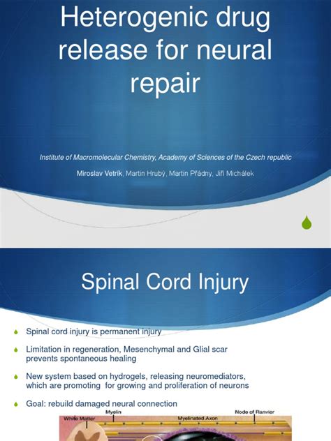 (PDF) neural reapir tissue engineering - presentation - DOKUMEN.TIPS