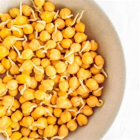 Yellow Dry Sprouted Maize Grain Mix For Food Purpose Packaging Type