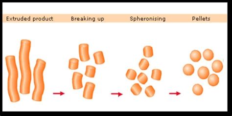 Principle Of Extrusion Spheronization Process Download Scientific Diagram