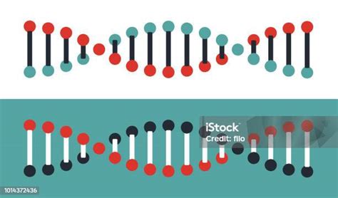 Dna 구조 Dna에 대한 스톡 벡터 아트 및 기타 이미지 Dna 나선구조 나선 모양 Istock