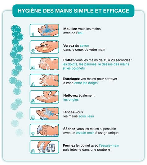 TICs en FLE Des gestes simples et efficaces pour réviser l impératif