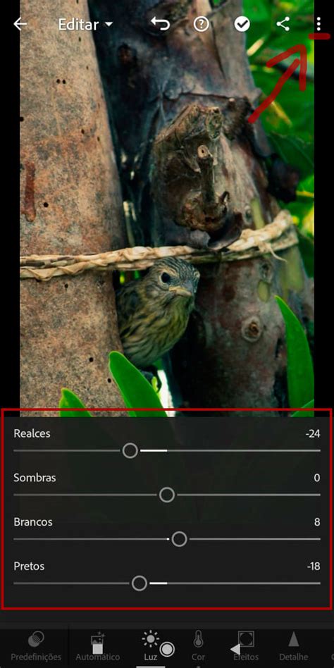 Como Criar Preset Pelo Lightroom No Celular Passo A Passo