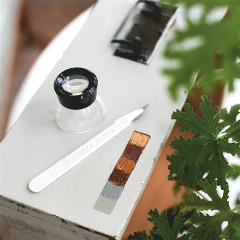 Färg på färg på färg på färg på färg på färg - Svenska ...