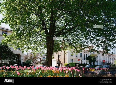 Lewisham House Hi Res Stock Photography And Images Alamy