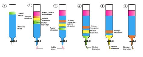 What Is Chromatography What Is The Principle Of Chromatography Types Of Chromatography