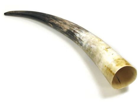 How To Tell Real Ox Horn From Plastic Shoetree Project