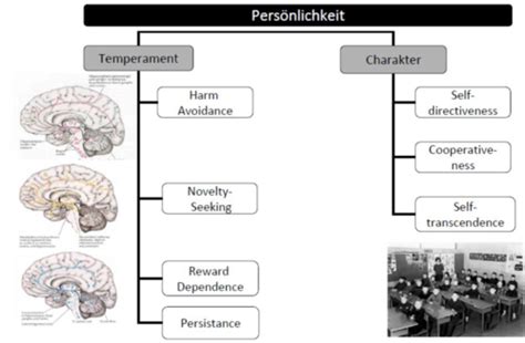 VL10 Biopsychologische Theorien der Persönlichkeit II Karteikarten