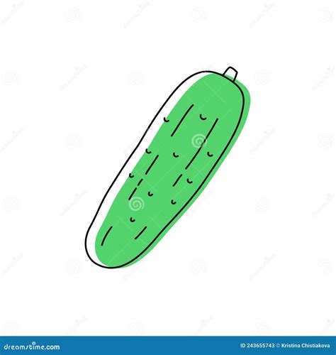 Doodle Outline Cucumber With Spot Vector Illustration For Packing