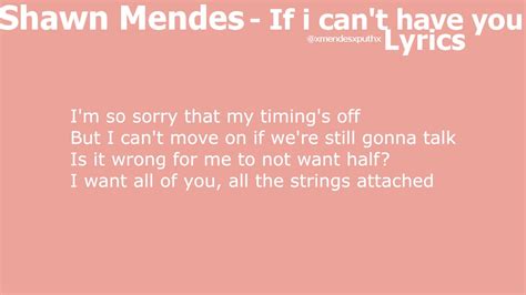 Shawn Mendes If I Cant Have You Lyrics Youtube