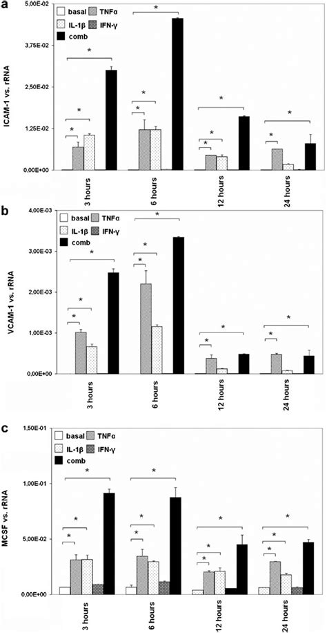 The Effect Of Tnf α Il 1β And Ifn γ On The Expression Of Icam 1