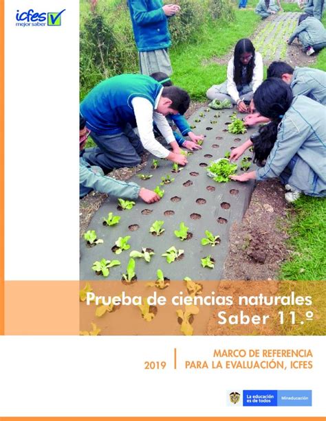 PDF Prueba de ciencias naturales Saber 11 º ciencias naturales que