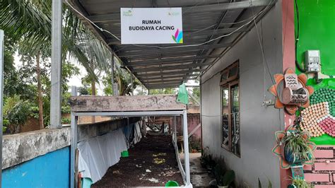 Ada Cacing Di Bank Sampah Sekumpul Teras7