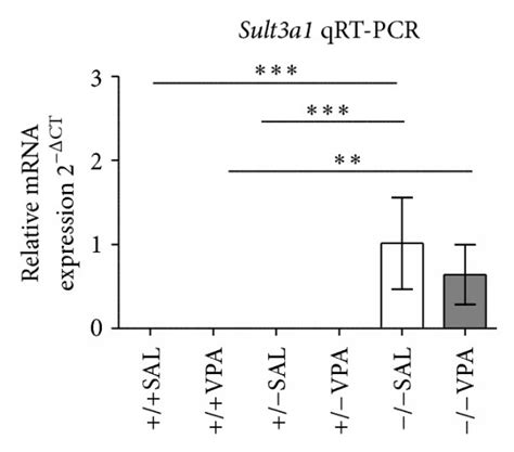 Comparison Of Results From Affymetrix Genechip Mouse Gene 10 St Array