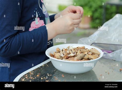 young girl shelling peanuts into a plate in the backyard Stock Photo ...