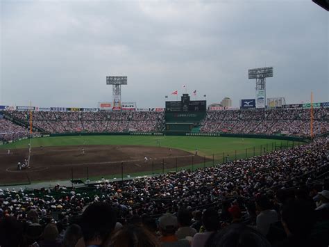 今夏の高校野球も終わった Tacosuke910のブログ