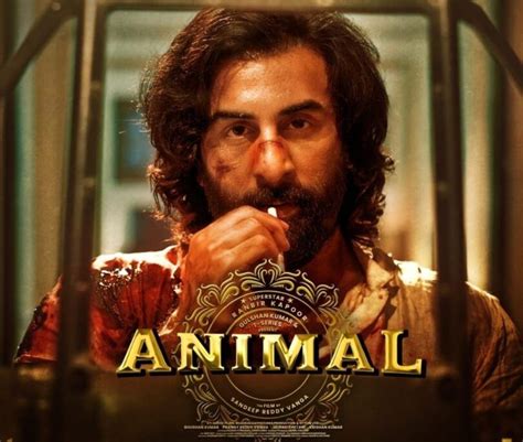 'Animal' OTT Release Date: Ranbir Kapoor Starrer To Release On Netflix