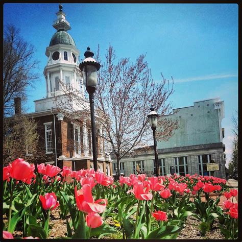 THE 15 BEST Things to Do in Danville - 2023 (with Photos) - Tripadvisor