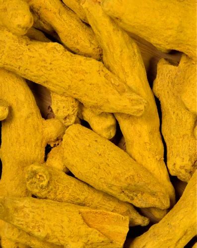 Turmeric Powder Bulk Turmeric Powder Manufacturer From Chennai