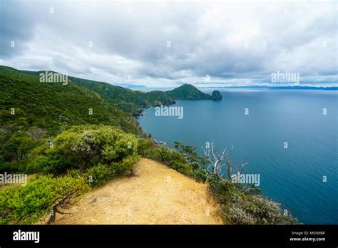 Hiking The Coromandel Coastal Walkway Rainforest And A Steep Coast