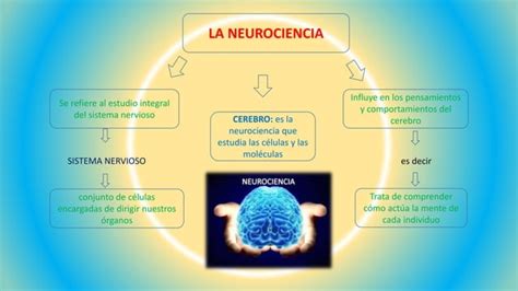 Importancia De La Neurociencia Ppt