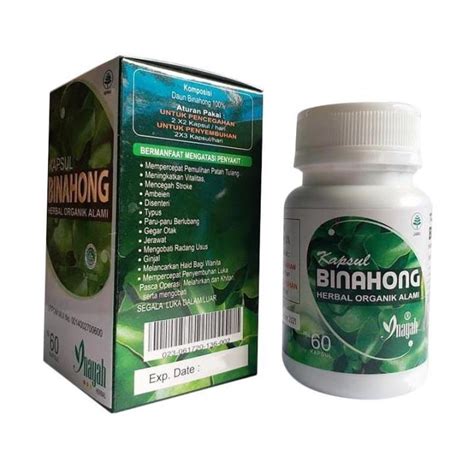 Herbal Ekstrak Kapsul Daun Binahong Inayah Kapsul Lazada Indonesia