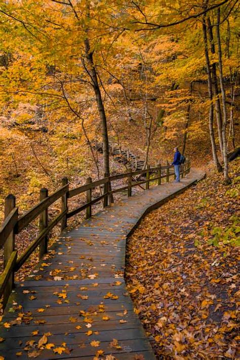 Exploring Pikes Peak State Park In Mcgregor Iowa Iowa Road Trip