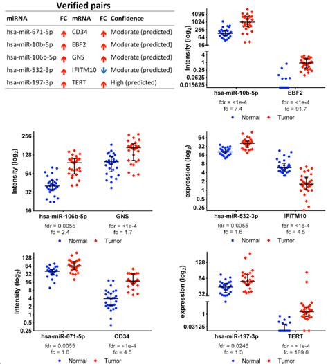 List And Dotplots Of The Verified Mirna Mrna Pairs From The Gu Dataset