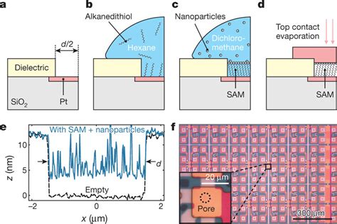 Device Fabrication A Pores With A Diameter D Are Etched Into A