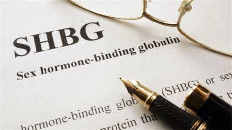 The Importance Of Sex Hormone Binding Globulin Shbg For Healthy