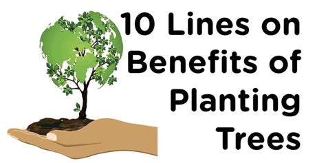 10 Lines On Benefits Of Planting Trees Trees To Plant Benefits Of