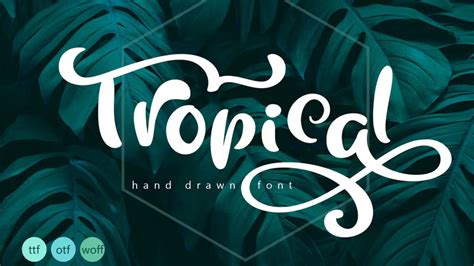 15 Best Summer Fonts For A Refreshing Design