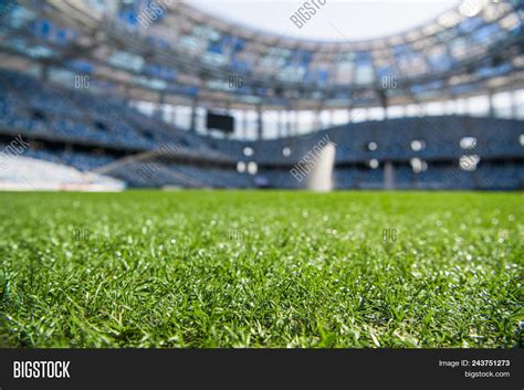 Grass On Stadium Image & Photo (Free Trial) | Bigstock