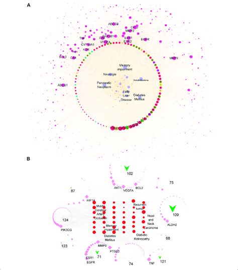 Compound Target Disease Network For All Candidate Or Main Compounds