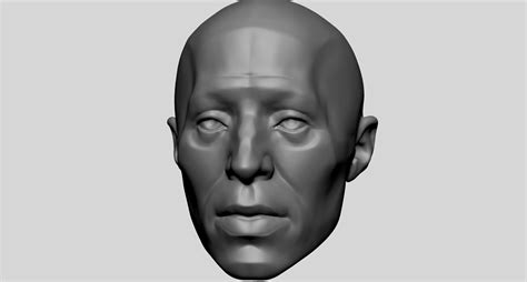 Artstation Base Male Head Anatomy Resources