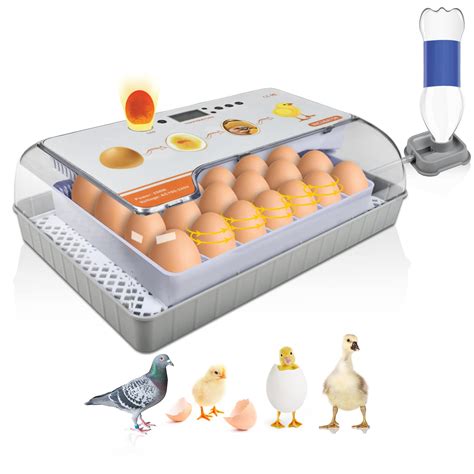 Buy Incubators For Hatching Eggs Egg Incubator With Temperature