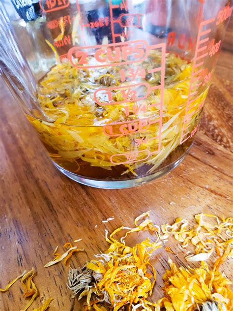 Diy Soothing Calendula Foaming Hand Soap Eco Living Mama