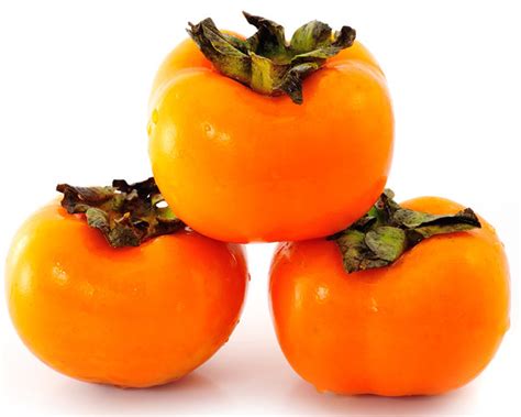 Persimmon Tree Fuyu Variety Grafted