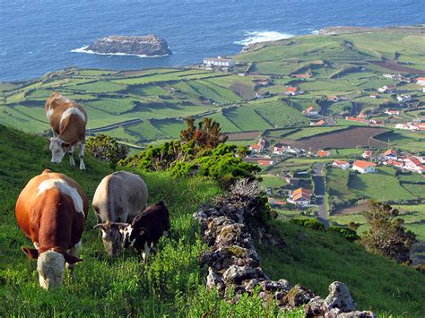 Top 20 Best Things To Do In The Azores Islands Portugal Framey