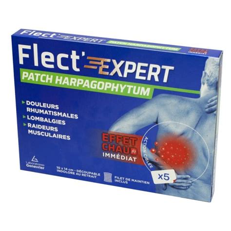 Flect Expert Patchs Harpagophytum X Cm