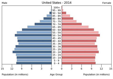 Population Pyramid Of USA - Personal Project in Global Perspectives ...