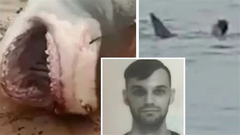 Vladimir Popov Body Parts Discovered Inside Shark That Ate Tourist