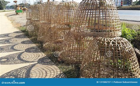 How To Build A Chicken Coop With Bamboo Chicken Coop