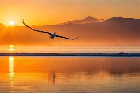 Un Oiseau Qui Vole Dans Le Ciel Avec Des Montagnes En Arri Re Plan