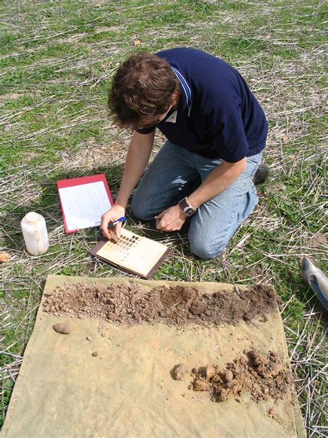 Measuring And Reporting Soil Organic Carbon Agriculture And Food