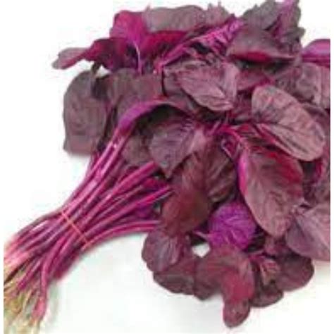 Red Spinach Desi Vegetable Seeds 200 Seeds Plant Orbit