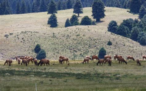 New Mexico National Monuments | The Valles Caldera