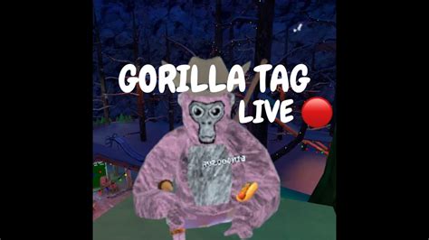 LIVE GORILLA TAG WITH VIEWERS YouTube