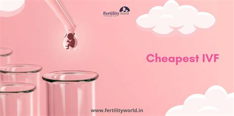 Best Ivf Centre In Haryana Fertilityworld