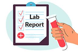 Lab Report How To Write It Step By Step With Examples