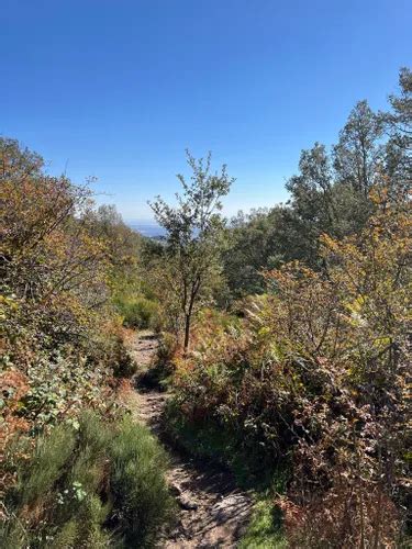 I 10 Migliori Sentieri Di Trekking In Parque Regional De La Cuenca Alta